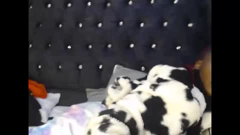 Snapshot of sebatrishaa chatting on October 23, 2025, 10:52 pm sebatrishaa online show from October 23, 2025, 10:52 pm