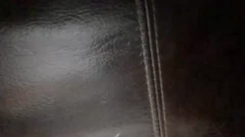 Snapshot of secret18slaveanon chatting on May 1, 2026, 1:21 am Sunny online show from May 1, 2026, 1:21 am