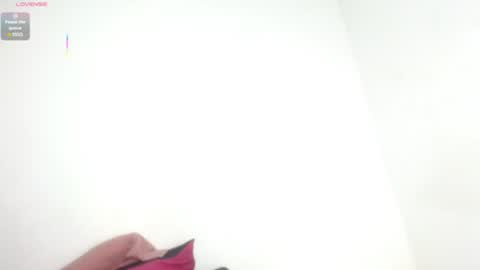 Estefany online show from July 11, 2026, 11:46 am