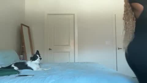 Serenity Bee   online show from November 17, 2025, 5:52 pm