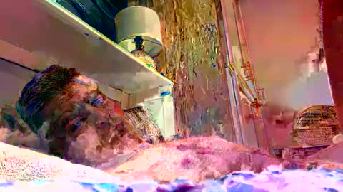 Snapshot of sexdisruptor chatting on January 4, 2025, 3:07 am sexdisruptor online show from January 4, 2025, 3:07 am