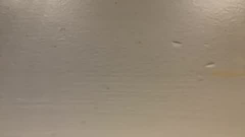 sexislitpuss69 online show from January 1, 2025, 11:40 pm