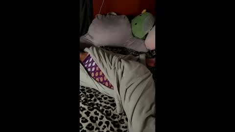 sexiwhiskey699 online show from February 3, 2026, 2:53 am