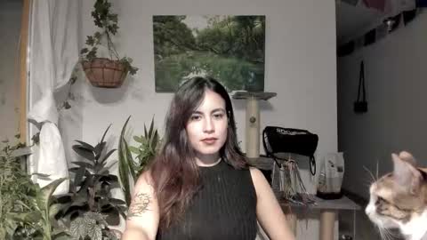         online show from February 6, 2026, 1:54 am