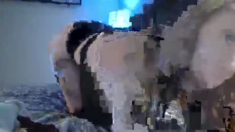 sexxileeah online show from January 25, 2025, 4:23 am