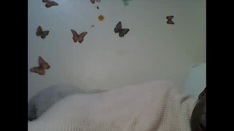 Ann online show from November 22, 2025, 3:49 am