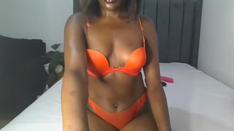 Arria online show from February 17, 2026, 10:34 am