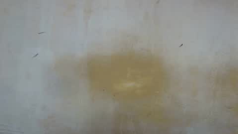 Snapshot of sexy_candy9 chatting on November 11, 2025, 9:53 am sexy_candy9 online show from November 11, 2025, 9:53 am