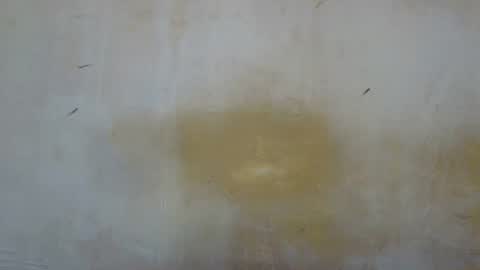 Snapshot of sexy_candy9 chatting on November 12, 2025, 8:59 am sexy_candy9 online show from November 12, 2025, 8:59 am