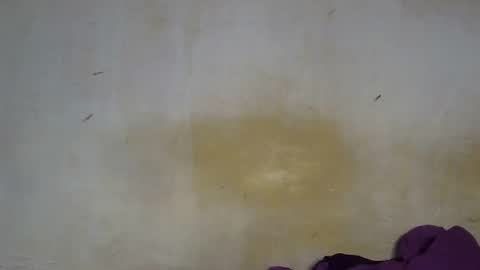 Snapshot of sexy_candy9 chatting on December 4, 2025, 10:57 am sexy_candy9 online show from December 4, 2025, 10:57 am