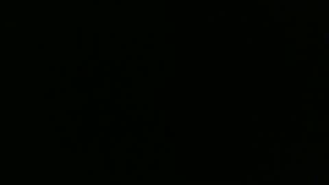 sexy_string online show from January 19, 2025, 5:49 pm