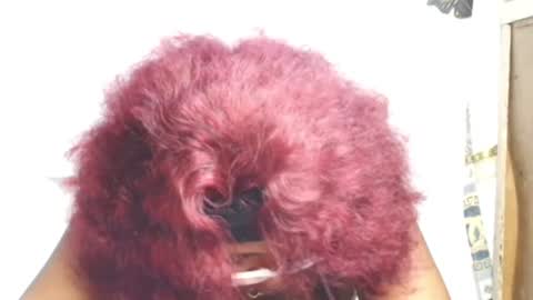 Snapshot of sexyhoneypot chatting on June 19, 2026, 4:22 pm Marvellous online show from June 19, 2026, 4:22 pm