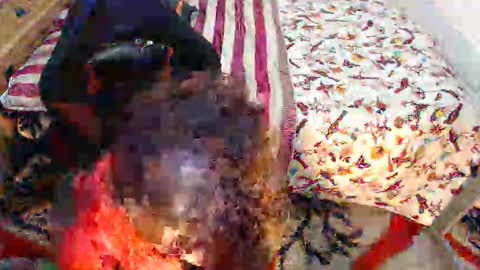 sexyjustin202 online show from November 25, 2025, 2:11 am