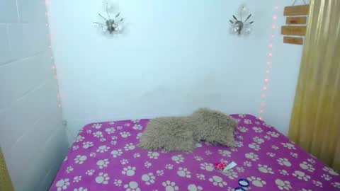 Snapshot of sexykata_of chatting on June 27, 2026, 11:32 pm Kata sexy online show from June 27, 2026, 11:32 pm