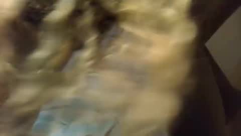 Snapshot of sexykitten200 chatting on November 21, 2025, 5:50 am SexyKitty online show from November 21, 2025, 5:50 am