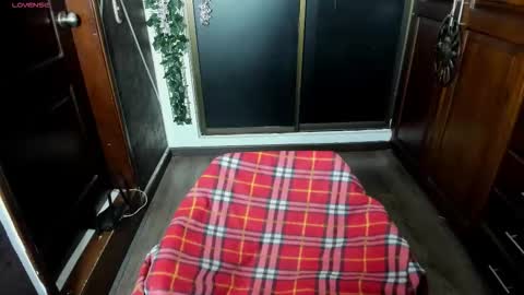 Snapshot of sexynaf chatting on November 19, 2025, 8:31 pm N A F online show from November 19, 2025, 8:31 pm