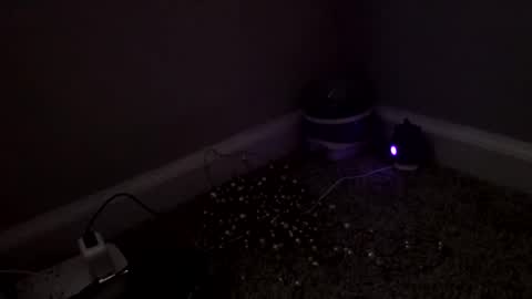 Sugar Brown online show from March 4, 2026, 3:18 pm