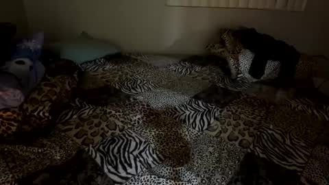 Snapshot of shamanwoman chatting on December 6, 2024, 2:57 am Shaman Woman online show from December 6, 2024, 2:57 am