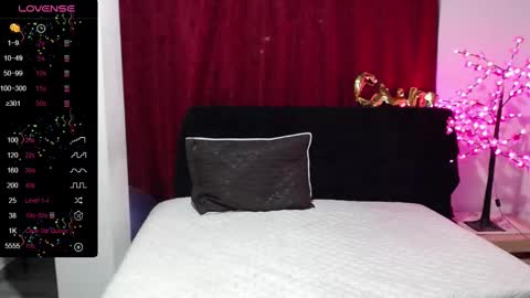 Snapshot of shanel_passion chatting on February 12, 2025, 5:47 am Shanel online show from February 12, 2025, 5:47 am