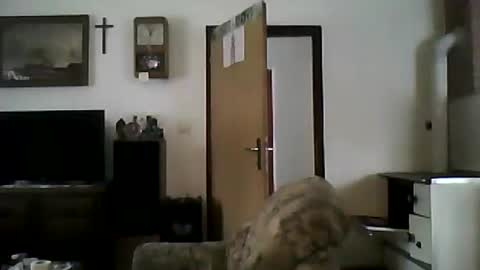 excelo21 online show from January 19, 2025, 11:56 am