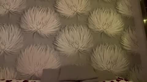 Alica online show from January 11, 2026, 8:03 pm