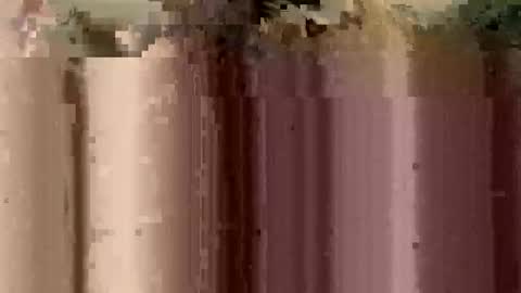 sheablo33 online show from December 17, 2025, 2:39 am