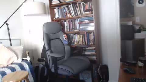 Snapshot of sheepishlion chatting on January 12, 2025, 4:18 pm sheepishlion online show from January 12, 2025, 4:18 pm