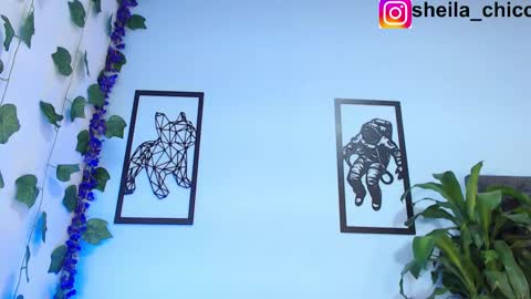 Snapshot of sheila_bigcok chatting on February 26, 2025, 2:25 pm SHEILA online show from February 26, 2025, 2:25 pm