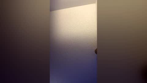 Snapshot of shelbsss17 chatting on March 22, 2026, 2:20 pm shelbsss17 online show from March 22, 2026, 2:20 pm