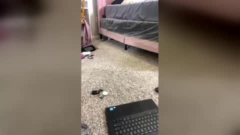 Shelia Averette online show from December 20, 2025, 1:56 am