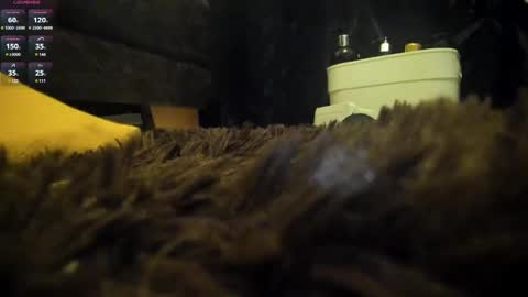 Snapshot of shinigamidoll chatting on March 7, 2025, 2:15 am Shinigamidoll see you soon online show from March 7, 2025, 2:15 am