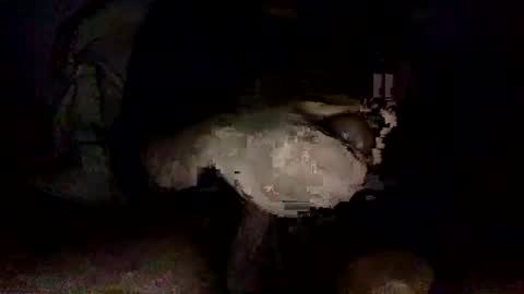 Snapshot of shoot3s__ chatting on December 14, 2024, 2:12 am shoot3s__ online show from December 14, 2024, 2:12 am