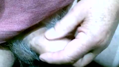 Snapshot of shootertog chatting on October 13, 2025, 10:48 am shootertog online show from October 13, 2025, 10:48 am