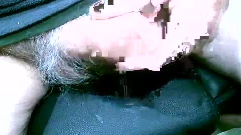 Snapshot of shootertog chatting on December 15, 2025, 11:36 am shootertog online show from December 15, 2025, 11:36 am