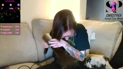 short sweetpea online show from November 4, 2025, 6:51 pm