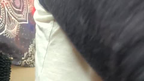Snapshot of shy_college_girl chatting on May 16, 2026, 7:45 pm Aurora Wolfe Shy College Girl Top 16 of all OF Creators online show from May 16, 2026, 7:45 pm