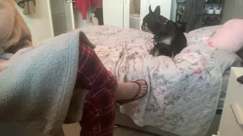 Snapshot of shyboy0533 chatting on November 3, 2025, 10:49 am shyboy0533 online show from November 3, 2025, 10:49 am