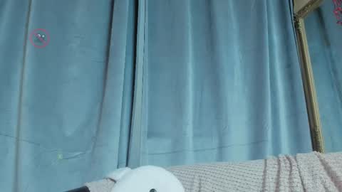 Snapshot of shydreamss chatting on February 19, 2026, 9:11 pm Anny online show from February 19, 2026, 9:11 pm