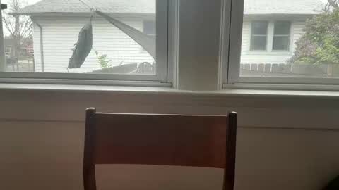 sie273 online show from April 11, 2026, 6:45 pm