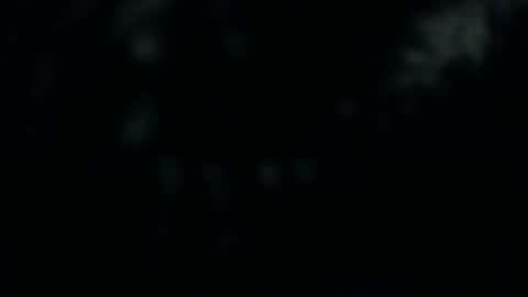 Snapshot of silkeyoz chatting on December 10, 2024, 1:22 pm Silkey online show from December 10, 2024, 1:22 pm