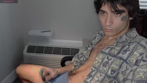 Snapshot of silly_cybin chatting on January 31, 2025, 3:11 pm cybin online show from January 31, 2025, 3:11 pm