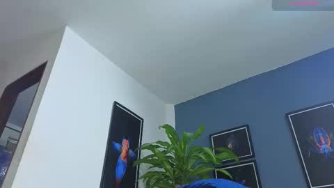 silvabranko online show from November 26, 2025, 12:11 am