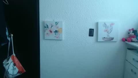 Snapshot of silvanaroberts_ chatting on January 31, 2026, 7:11 pm Rouse online show from January 31, 2026, 7:11 pm