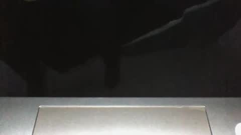 Silverhawk06 online show from December 23, 2025, 2:20 am