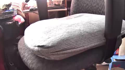 Snapshot of silversenior chatting on April 17, 2026, 7:06 pm Silver online show from April 17, 2026, 7:06 pm