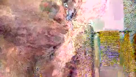 silversurfer1974 online show from January 16, 2025, 11:04 am