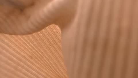 Snapshot of simple_lynx chatting on March 11, 2025, 6:32 am L Y N online show from March 11, 2025, 6:32 am