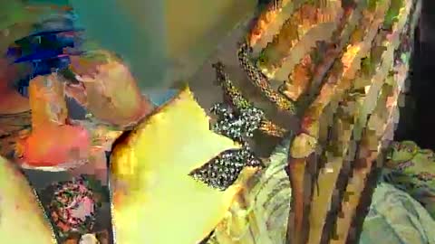 Snapshot of sir__loin411 chatting on February 20, 2025, 5:07 pm Sir Loin online show from February 20, 2025, 5:07 pm