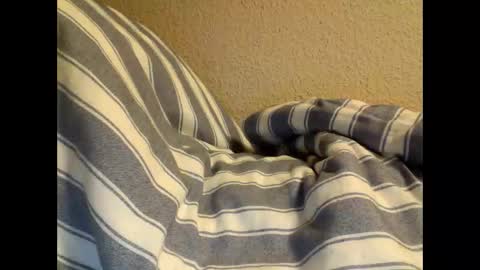 Snapshot of sircamalot45 chatting on February 17, 2025, 1:36 am sircamalot45 online show from February 17, 2025, 1:36 am