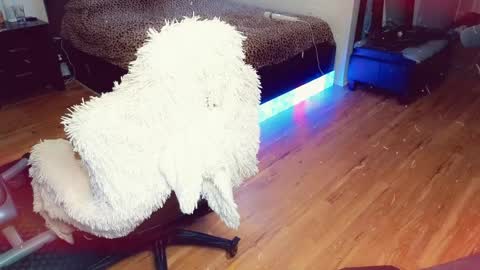 Ashleigh Mak online show from April 21, 2026, 11:51 pm